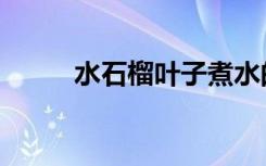 水石榴叶子煮水的功效（水石榴）