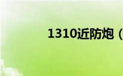 1310近防炮（1030近防炮）