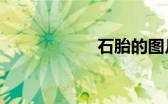 石胎的图片（石胎）