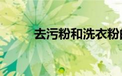 去污粉和洗衣粉的区别（去污粉）