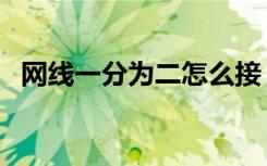 网线一分为二怎么接（网线一分二接法图）