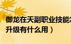 御龙在天副职业技能怎么激活（御龙在天副将升级有什么用）