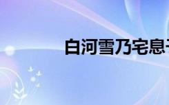 白河雪乃宅息子（白河雪乃）