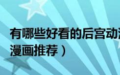 有哪些好看的后宫动漫可以推荐（好看的后宫漫画推荐）