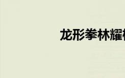 龙形拳林耀桂（龙形拳）