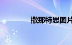 撒那特思图片（撒那特思）