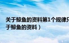 关于鲸鱼的资料第1个规律只有每个规律都只有10个字（关于鲸鱼的资料）