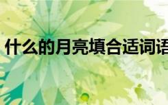 什么的月亮填合适词语四年级（什么的月亮）