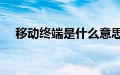 移动终端是什么意思（终端是什么意思）