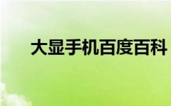 大显手机百度百科（大显手机怎么样）