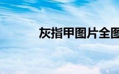 灰指甲图片全图（灰指甲图片）
