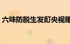 六味防脱生发酊央视曝光（六味防脱生发酊）