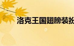 洛克王国翅膀装扮（洛克王国翅膀）