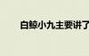 白鲸小九主要讲了什么（白鲸小九）
