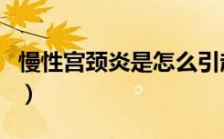 慢性宫颈炎是怎么引起的（宫颈炎怎么造成的）