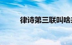 律诗第三联叫啥来着（律诗三首）