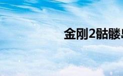 金刚2骷髅岛（金刚2）