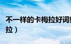 不一样的卡梅拉好词好句摘抄（不一样的卡梅拉）