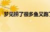 梦见捞了很多鱼又跑了（梦见捞了很多鱼）