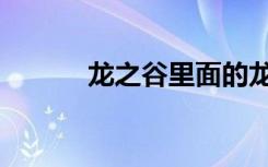 龙之谷里面的龙（龙之谷纽扣）