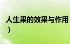 人生果的效果与作用（人生果水果功效与作用）