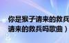 你是猴子请来的救兵吗歌曲mp3（你是猴子请来的救兵吗歌曲）