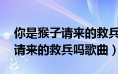 你是猴子请来的救兵吗歌曲mp3（你是猴子请来的救兵吗歌曲）