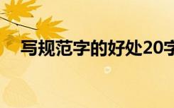 写规范字的好处20字（写规范字的好处）