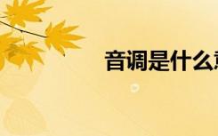 音调是什么意思（音调）