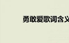 勇敢爱歌词含义（勇敢爱歌词）