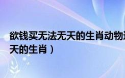 欲钱买无法无天的生肖动物这是什么生肖的（欲钱买无法无天的生肖）