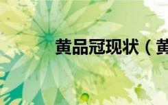 黄品冠现状（黄品冠好听的歌）