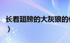 长着翅膀的大灰狼的作品（长着翅膀的大灰狼）