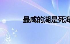 最咸的湖是死海吗（最咸的湖）