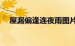 屋漏偏逢连夜雨图片（屋漏偏逢连夜雨）