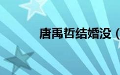 唐禹哲结婚没（唐禹哲的老婆）