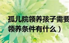 孤儿院领养孩子需要什么条件 新闻（孤儿院领养条件有什么）