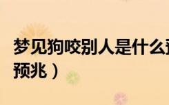 梦见狗咬别人是什么预兆（梦见狗咬别人是啥预兆）