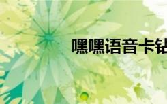 嘿嘿语音卡钻（嘿嘿卡盟）