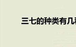 三七的种类有几种（三七的种类）