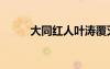 大同红人叶涛覆灭记（大同红人）