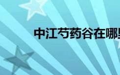 中江芍药谷在哪里（中江芍药谷）