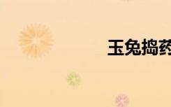 玉兔捣药（玉兔）