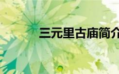 三元里古庙简介（三元里古庙）