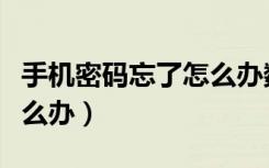 手机密码忘了怎么办数字锁（手机密码忘了怎么办）