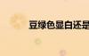 豆绿色显白还是显黑（豆绿色）