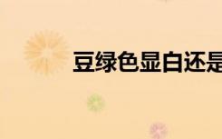 豆绿色显白还是显黑（豆绿色）