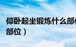 仰卧起坐锻炼什么部位和（仰卧起坐锻炼什么部位）