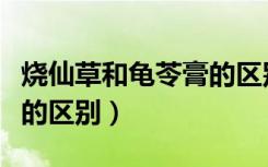 烧仙草和龟苓膏的区别在哪（烧仙草和龟苓膏的区别）