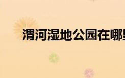 渭河湿地公园在哪里（渭河湿地公园）